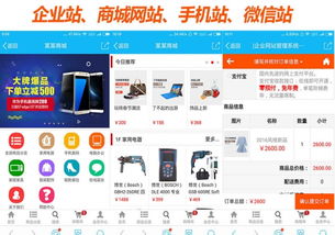 上海正規(guī)公司企業(yè)網(wǎng)站建設 600全包 送 域名