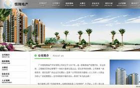 商丘網(wǎng)站建設(shè) 選擇專業(yè)網(wǎng)絡(luò)公司，打造卓越網(wǎng)站